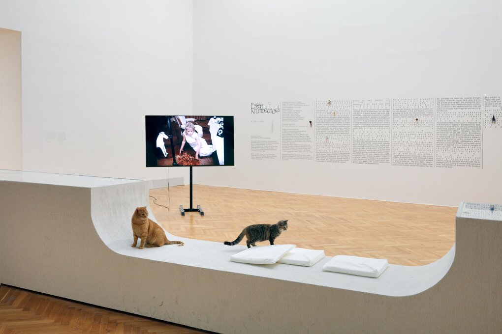 Panelová diskuze o&nbsp;zvířatech a&nbsp;umění